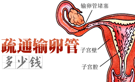 澳门新葡澳京官网